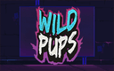 在Madisoncasino.be在线赌场上玩Wild Pups Dice