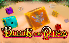 Jouer à Book of Dice sur le casino en ligne Madisoncasino.be