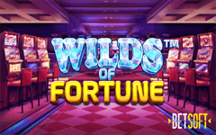 Jouer à Wilds of Fortune sur le casino en ligne Madisoncasino.be